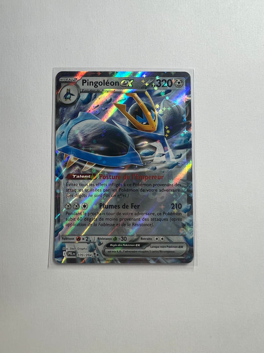 Pongoléon 070/094 🇫🇷